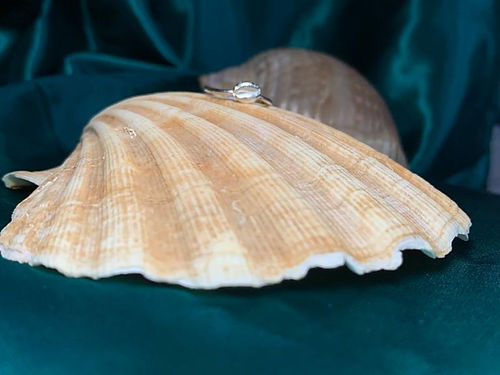 Cowrie Shell Stacker