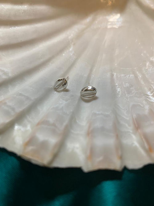 Cowrie Shell Studs
