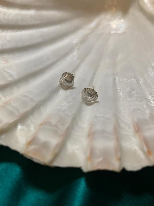 Seashell Studs